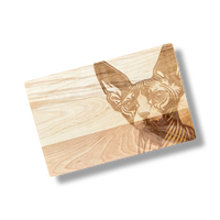 Small Engraved Boards - Cats