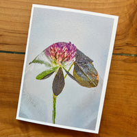 Blank Floral Greeting Cards by se Photography