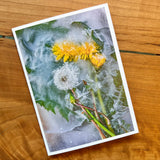 Blank Floral Greeting Cards by se Photography