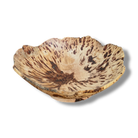 Sprungwood Sugar Maple Burl Bowl (#1)