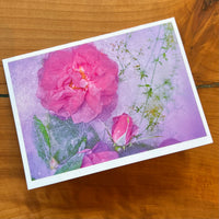 Blank Floral Greeting Cards by se Photography