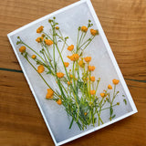 Blank Floral Greeting Cards by se Photography