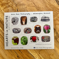 Blank Greeting Card Variety Packs by Nicki Steel Photography