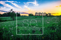 Matted 11x14 Photography Prints by se Photography