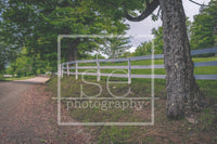 Matted 11x14 Photography Prints by se Photography
