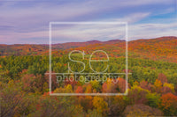 Matted 8x10 Photography Prints by se Photography
